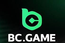 Exploring BC.Game The Future of Online Crypto Casinos
